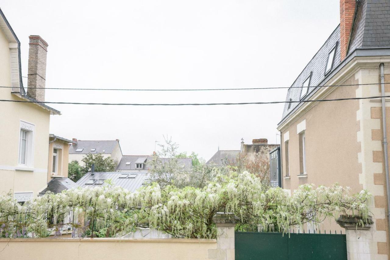 La Douce Angevine