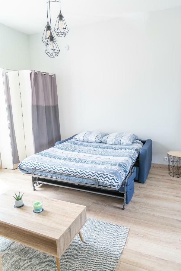 La Douce Angevine Appartement